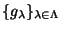 $ \{g_\lambda\}_{\lambda \in \Lambda}$